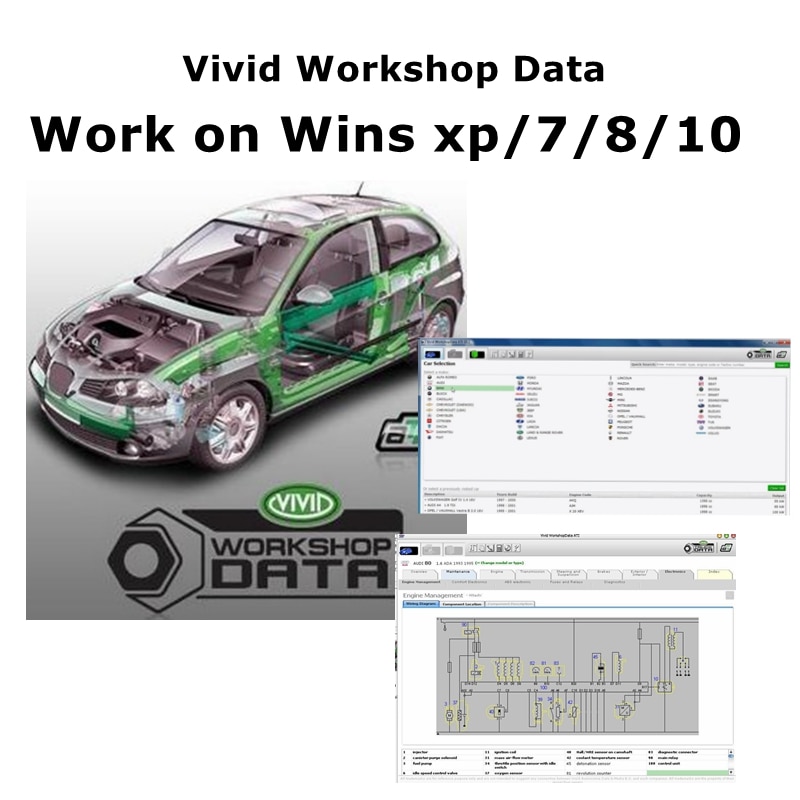 Datos de taller vívidos automo - Workshop Tools English reseña y precio